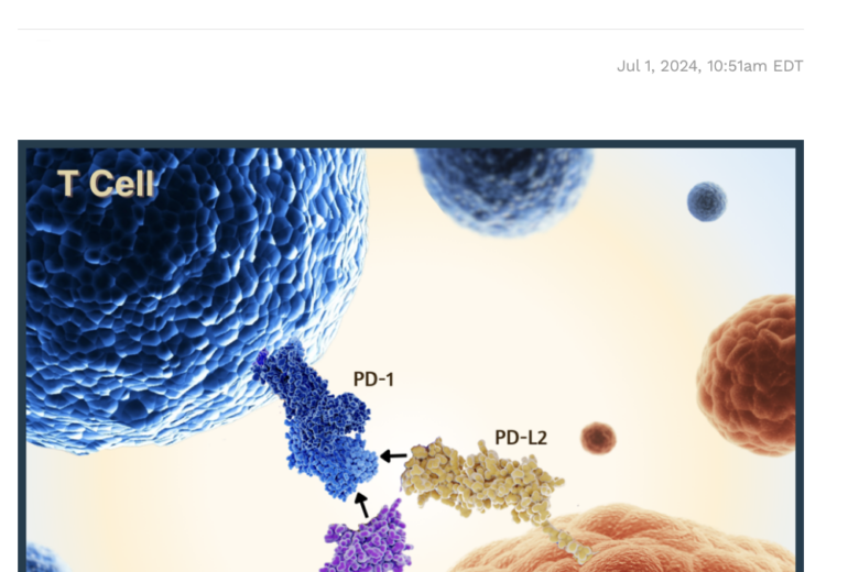 PD-L2 Experimental Checkpoint